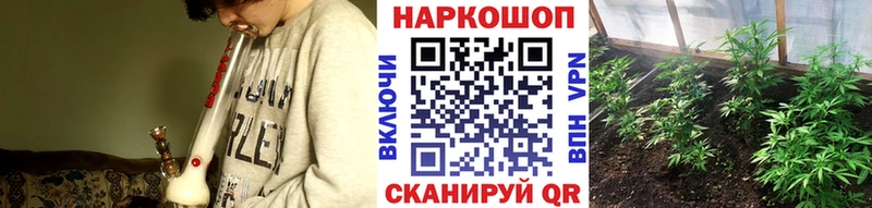Бошки Шишки Шахты